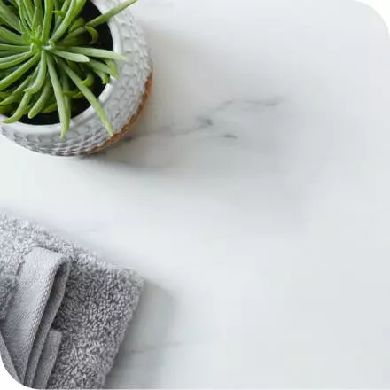 Cold marble slab with potted plant